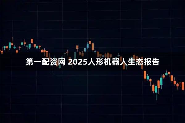 第一配资网 2025人形机器人生态报告