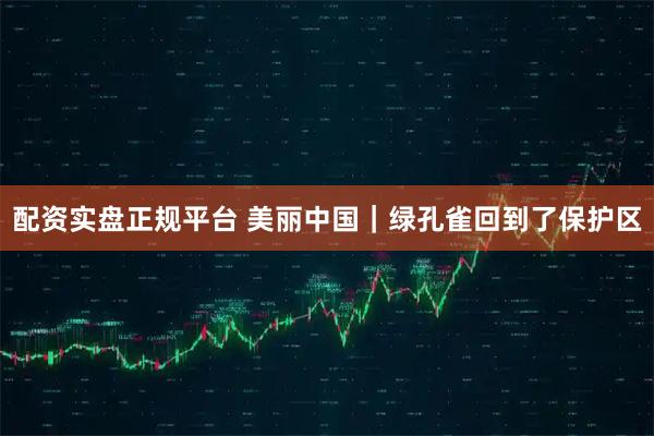 配资实盘正规平台 美丽中国｜绿孔雀回到了保护区
